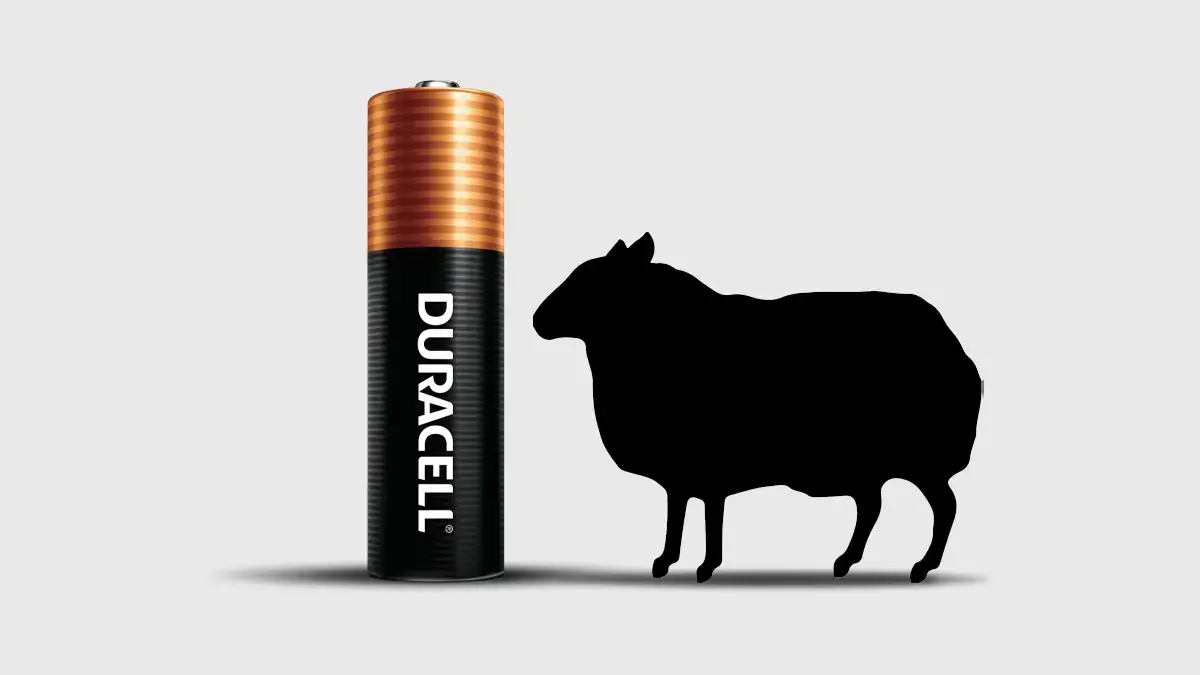 Duracell Picks BBH as Lead Creative Agency and Bluewave Infotech as Social AOR